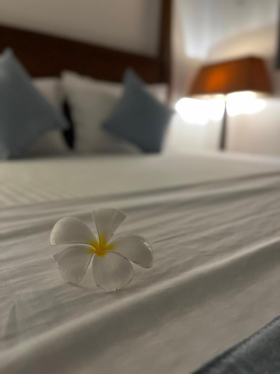 Beach Club Apartments Induruwa Eksteriør bilde