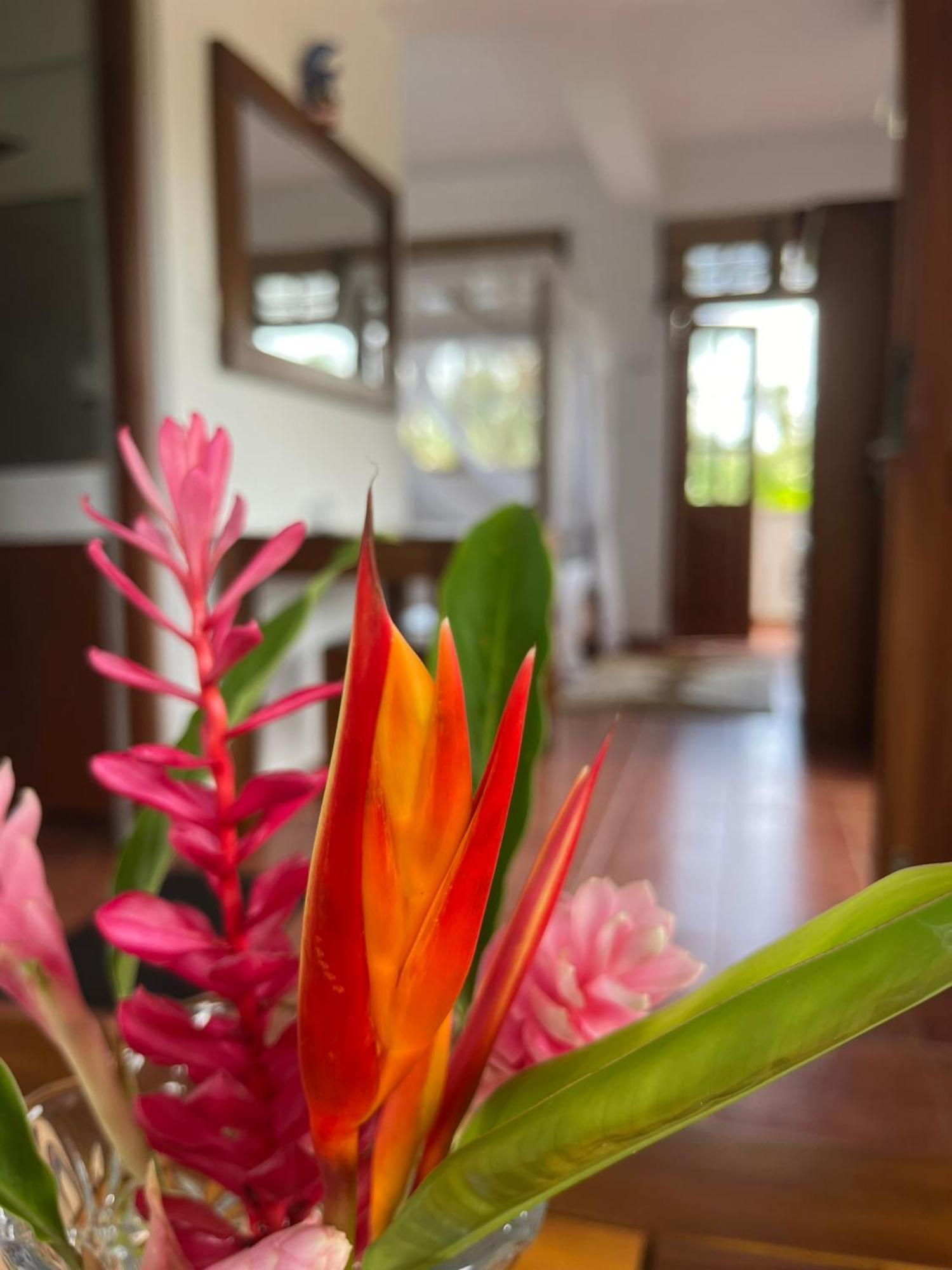 Beach Club Apartments Induruwa Eksteriør bilde